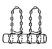 Ozzimarine Ozzimarine